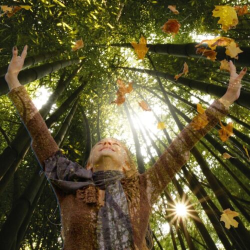 puertas abiertas introducción constelaciones familiares